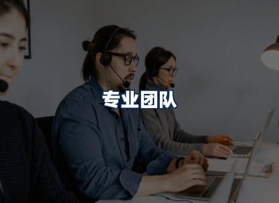 专业团队