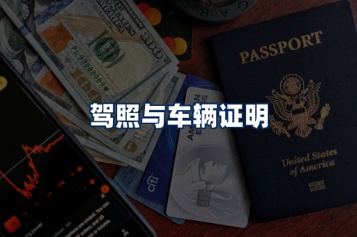 车辆证明展示